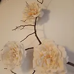 Ai Gabbiani Verona