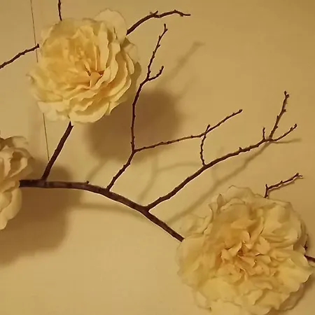 Ai Gabbiani Affittacamere