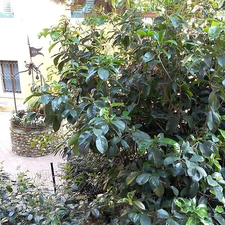 Ai Gabbiani 3* Verona