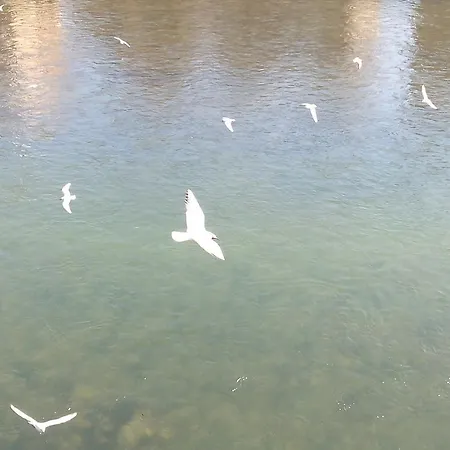 Konukevi Ai Gabbiani Verona