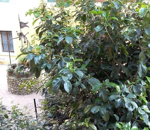 Konukevi Ai Gabbiani